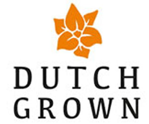 Buy flower bulbs directly from Holland - Business Horizon