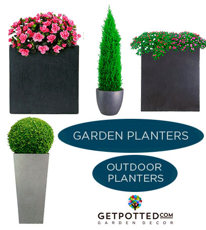 Flower plants, pots, plants and planters – Business Horizon