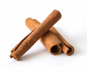 Cinnamon- Businesson