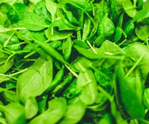 Spinach - Business Horizon