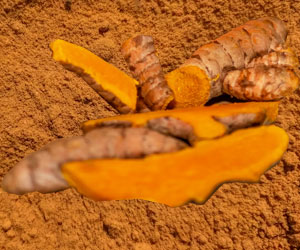 Turmeric - Business Horizon