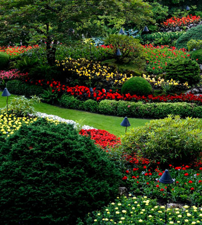 All types of garden services in M33 Sale – Business Horizon
