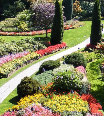 All types of garden services in M33 Sale – Business Horizon