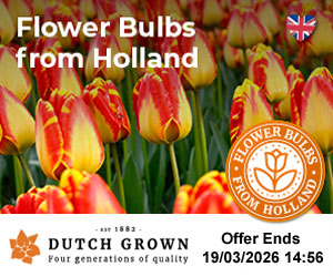 10% off Echinacea – Business Horizon